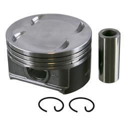 Sealed Power Pistons 13621CP100MM