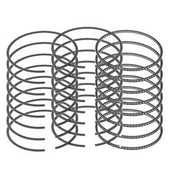 Sealed Power Piston Rings R106195