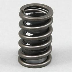 Dart Valve Springs 22000030