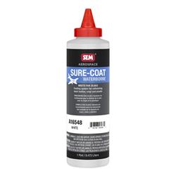 SEM Products Inc Paint 16548