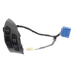 Standard Motor Products - Cruise Control Buttons for 2006-2007 ACCORD - CCA1008