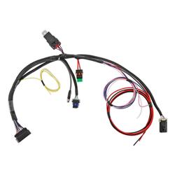 Holley Sniper 558-191 Holley Sniper 2 EFI Main Wiring Harnesses ...