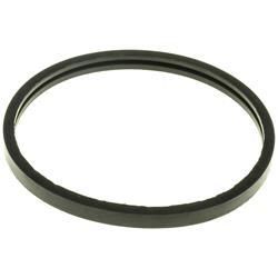 MotoRad Water Neck O-Rings MG24EA