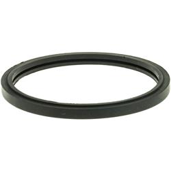 MotoRad Water Neck O-Rings MG91EA