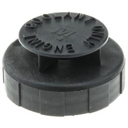 MotoRad Recovery Tank Caps T31