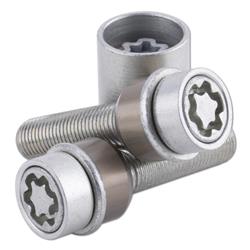 ST Suspensions Wheel Lock Bolts 56120119