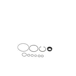 Sunsong Power Steering Pump Seals 8401625