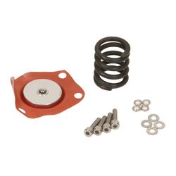 Summit Racing™ Fuel Pressure Regulator Rebuild Kits SUM-220067