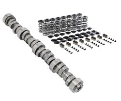 Summit Racing™ Pro LS Camshaft & Spring Kits SUM-8709-1DS