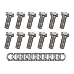 Summit Racing™ Stainless Steel Intake Manifold Bolt Kits SUM-G1573HS