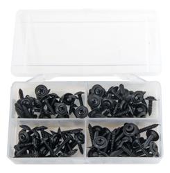 Summit Racing™ Interior Screws SUM-RP10047