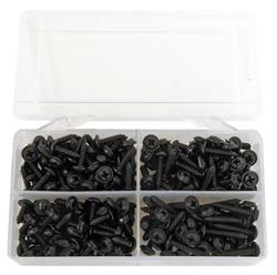 Summit Racing™ Interior Screws SUM-RP10048