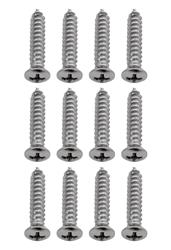 Summit Racing™ Interior Screws SUM-RP10053