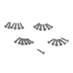 Summit Racing™ Interior Screws SUM-RP10059