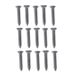 Summit Racing™ Interior Screws SUM-RP10060