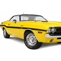 Summit Racing™ Stencil and Stripe Kits for 1970 CHALLENGER - SUM-RP80005-FLT