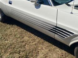 Summit Racing™ Stencil and Stripe Kits for 1972 CHALLENGER - SUM-RP80019-BLK