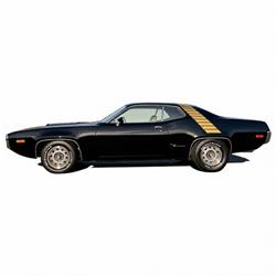 Summit Racing™ Stencil and Stripe Kits for 1972 ROAD RUNNER - SUM-RP80028-GLD