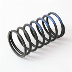 Turbosmart Wastegate Springs TS-0502-2001