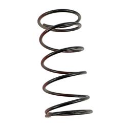 Turbosmart Wastegate Springs TS-0502-2006