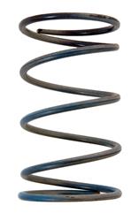 Turbosmart Wastegate Springs TS-0505-2005