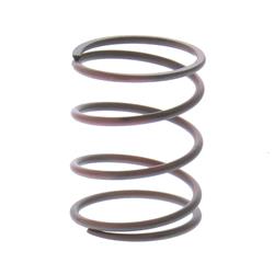 Turbosmart Wastegate Springs TS-0505-2006