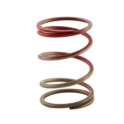 Turbosmart Wastegate Springs TS-0550-3084