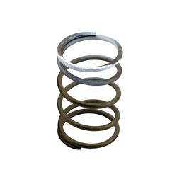 Turbosmart Wastegate Springs TS-0550-3091