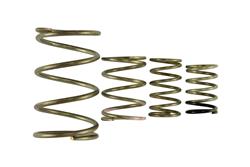 Turbosmart Wastegate Springs TS-0550-3150