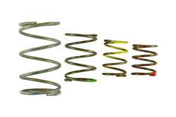 Turbosmart Wastegate Springs TS-0550-3151