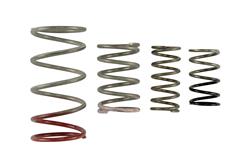 Turbosmart Wastegate Springs TS-0600-2011
