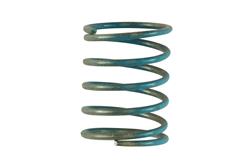 Turbosmart Wastegate Springs TS-0600-3054