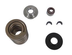 Trick Flow® Track Max® Pacaloy Valve Spring and Retainer Kits TFS-2500287
