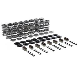 Trick Flow® Double Platinum .660 LS Dual Valve Spring and Retainer Kits