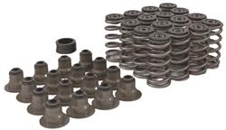 Trick Flow® Valve Spring Upgrade Kits for Ford 4.6L/5.4L 2V Engines TFS-2500500