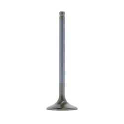 Trick Flow® Replacement Valves TFS-30600213-1