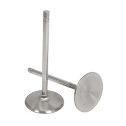 Click here for more information about Trick Flow Specialties TFS-32600214 - Trick Flow® Replacement Severe and Extreme Duty Valves