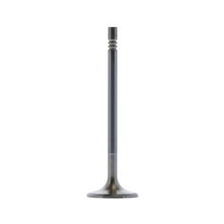 Trick Flow® Replacement Valves TFS-51900212