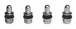 Trans-Dapt Performance Chrome Valve Stems