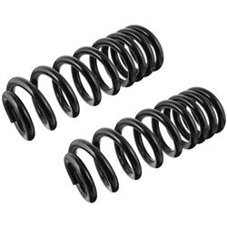 TRW Coil Springs for 1992-1997 E-350 ECONOLINE, E-350 ECONOLINE CLUB WAGON - JCS1452T