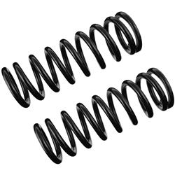 TRW Coil Springs JCS1719T