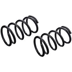 TRW Coil Springs for 2001-2005 RAV4 - JCS613T