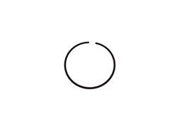 Total Seal TNT Piston Rings 200037