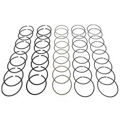 Total Seal Maxseal Piston Rings M9190 65