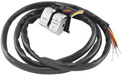 Twin Power Handlebar Control Switches 601696