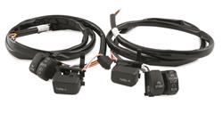 Twin Power Handlebar Control Switches 482653