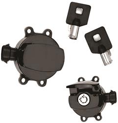 Twin Power Ignition Switches 492299