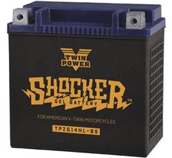 Twin Power Batteries 781233