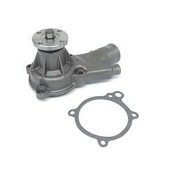 US Motor Works Mechanical Water Pumps US5022