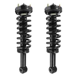 Unity Automotive Complete Strut Assemblies 2-11900-001